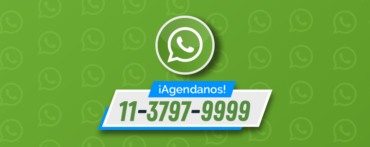 NUEVAS FUNCIONES DEL WHATSAPP DOC